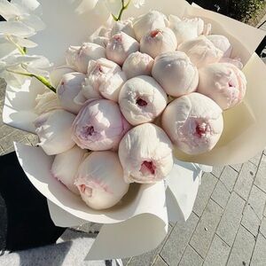 Van Cleef & Arpels
